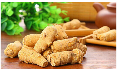 中藥原料西洋參