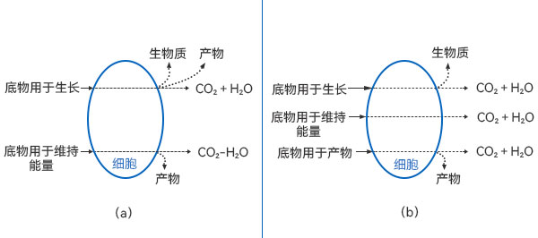 底物消耗的質量衡算圖 底物消耗的質量衡算圖