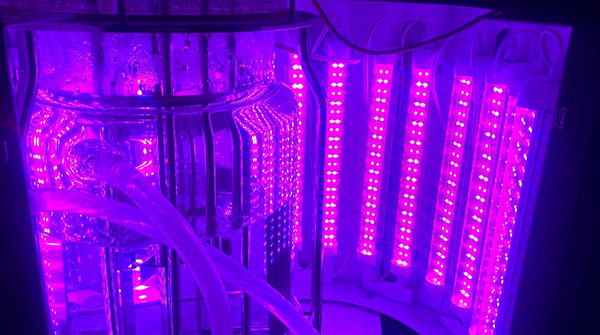 Pb210光照 Pb210光照