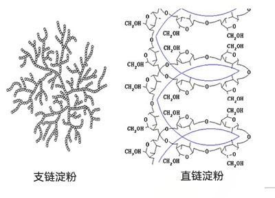 淀粉糖結構 淀粉糖結構