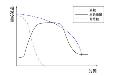 大腸桿菌在不同培養基中的生長 大腸桿菌在不同培養基中的生長