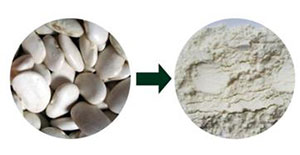 陶瓷膜過濾在蕓豆提取物中的運(yùn)用 陶瓷膜過濾在蕓豆提取物中的運(yùn)用